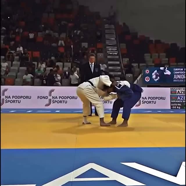  ....clips   'recent posts' 