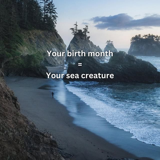  .....iesta   'recent posts' 