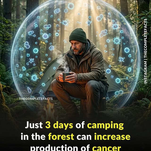  ........etefacts   'recent posts' 