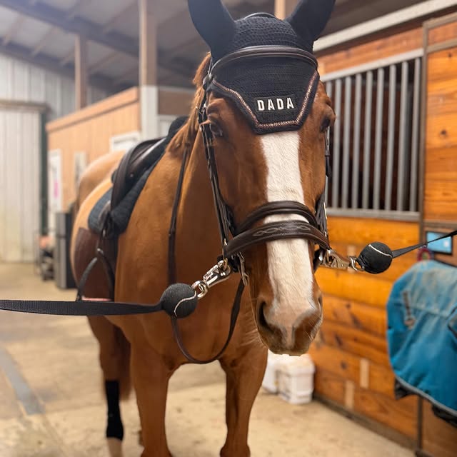  .....hulse   'recent posts' 