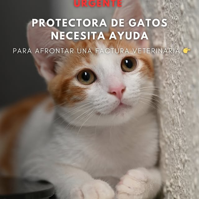  ........._barcelona   'recent posts' 