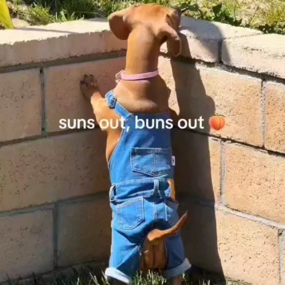  ..........fan.club_   'recent posts' 