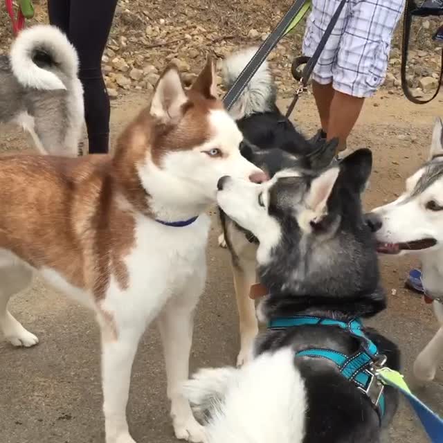  .....tmiles   'recent posts' 