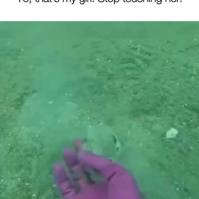  ......marino   'recent posts' 