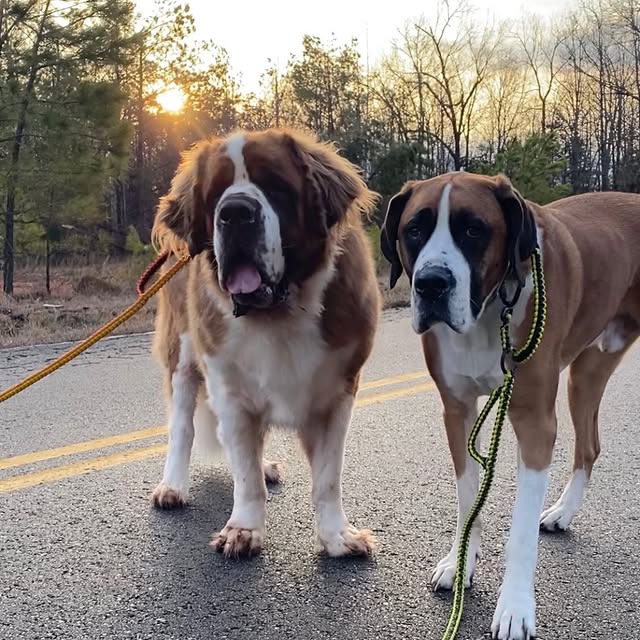  .........intbernard   'recent posts' 