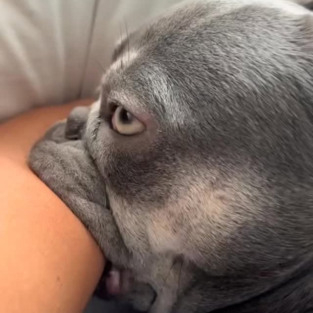  ..........ldogs_only   'recent posts' 