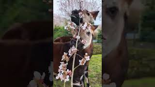  .....rthTv  'recent videos' 