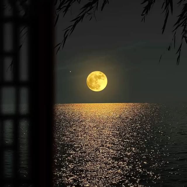  ......ureshub   'recent posts' 