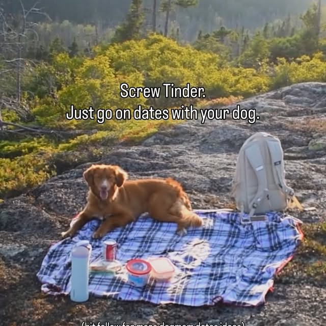  ......atoller   'recent posts' 