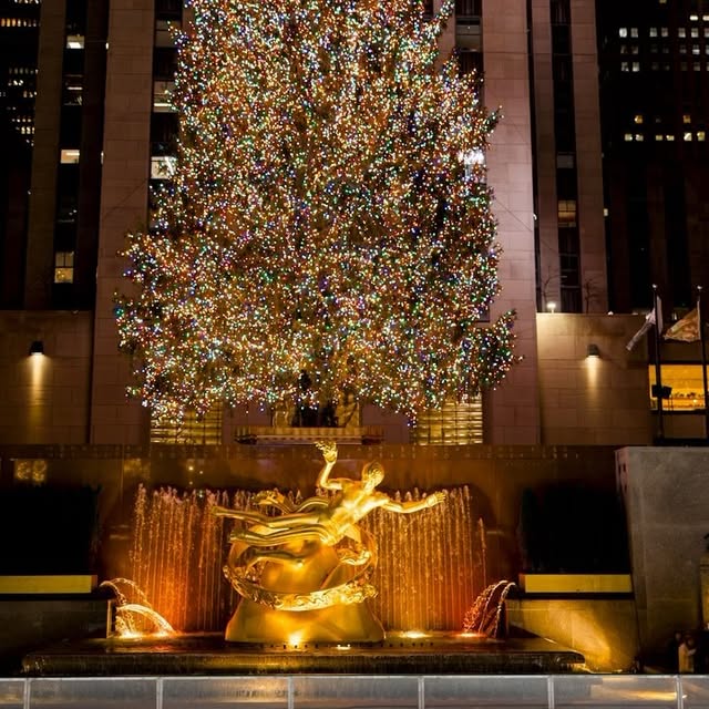  ......chmidt   'recent posts' 