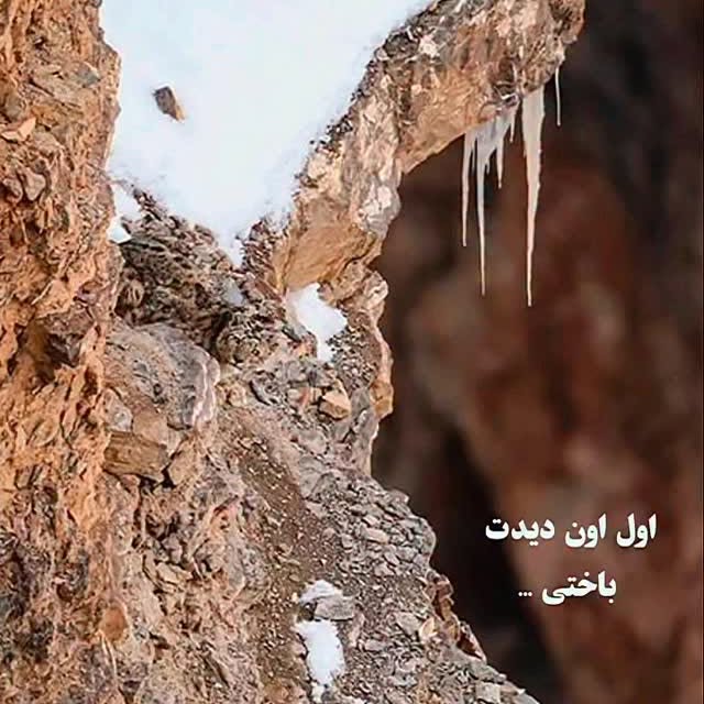  .........lavanzadeh   'recent posts' 