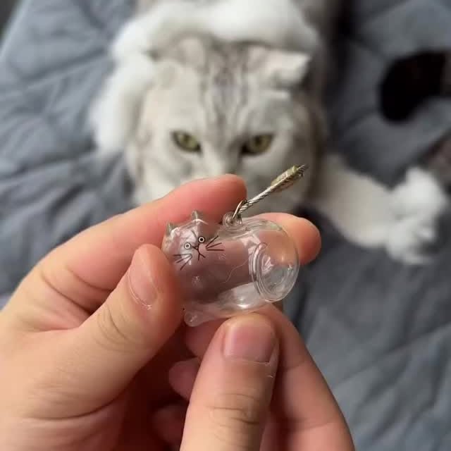  ......tionsx   'recent posts' 