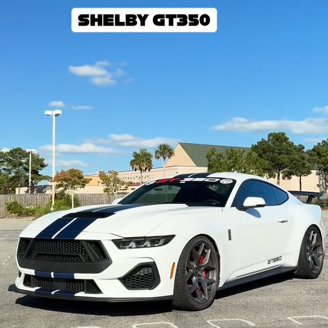  .......fanclub   'recent posts' 