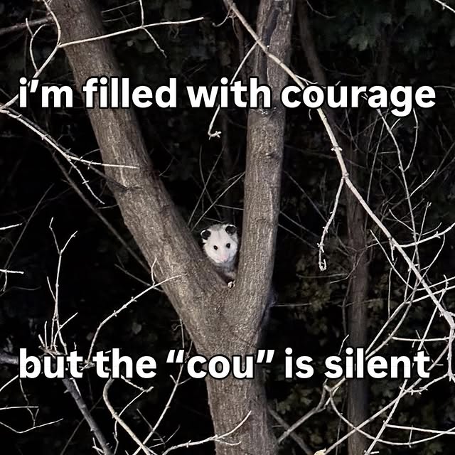  ......mthings   'recent posts' 