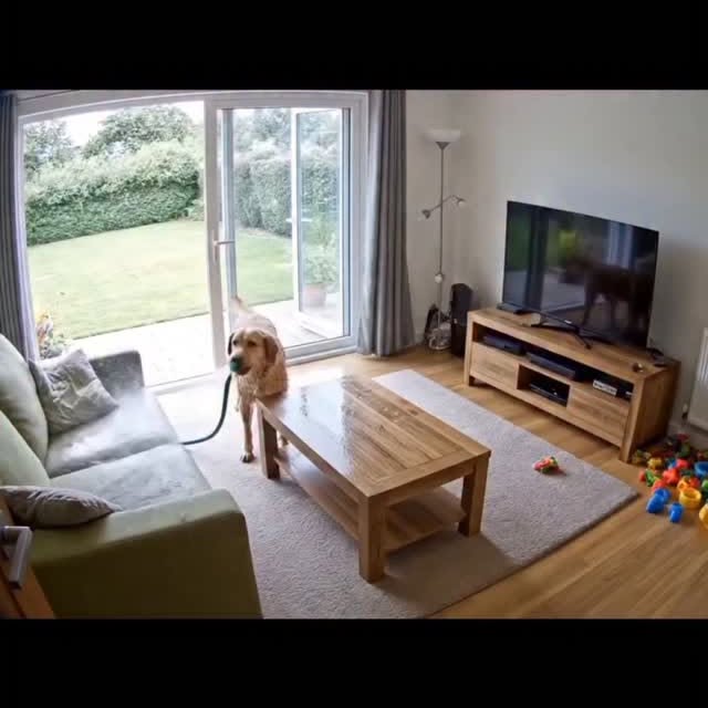  ......imalshq   'recent posts' 