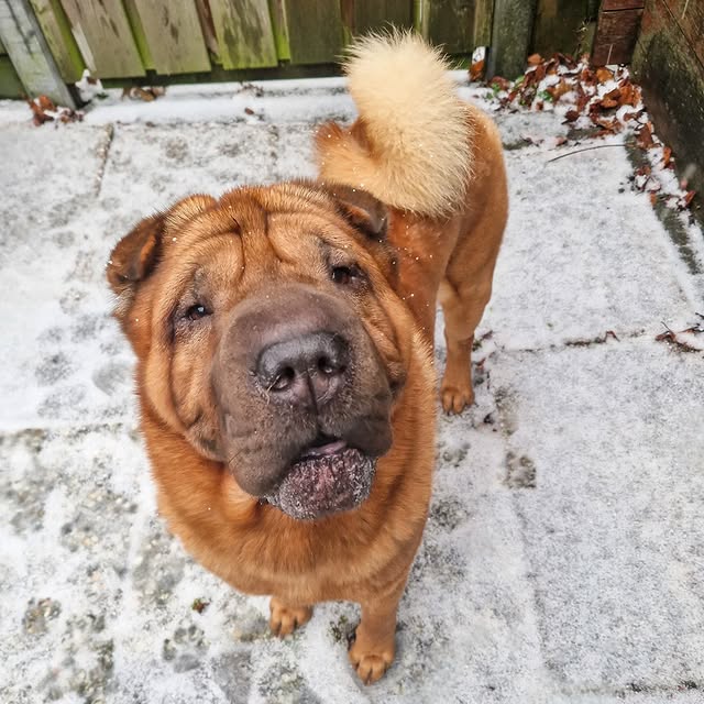  ......i.world   'recent posts' 