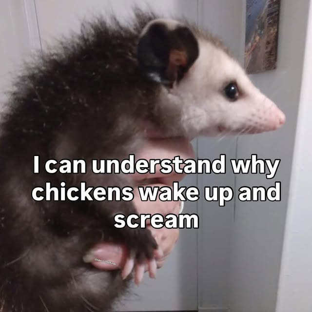  ......mthings   'recent posts' 