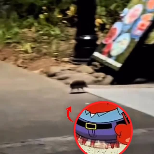  ............orning_kisser   'recent posts' 