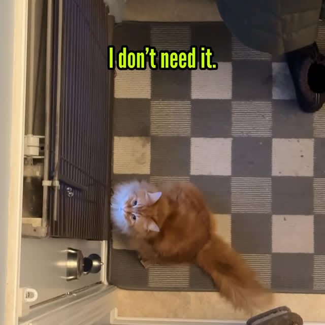  .........tofficial   'recent posts' 