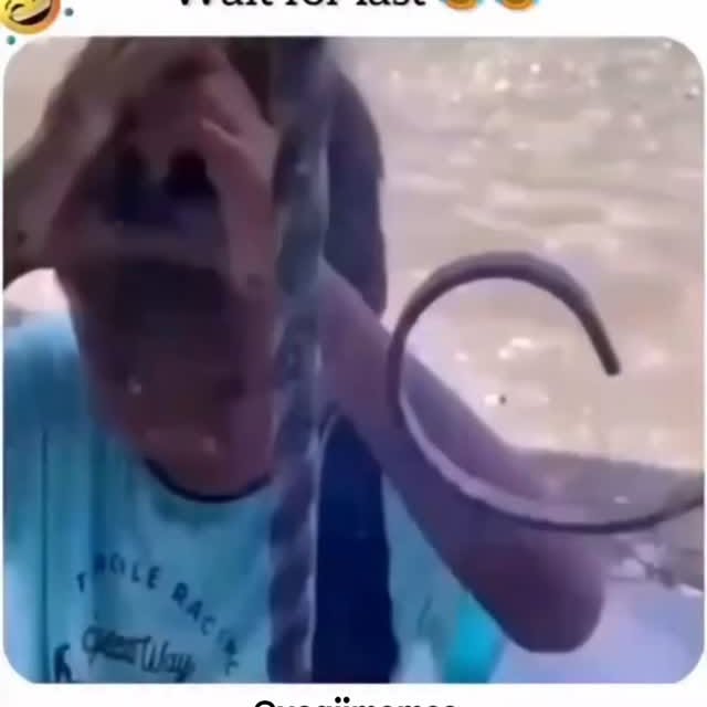  .....memes   'recent posts' 