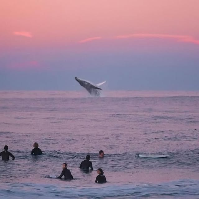  .....nique   'recent posts' 