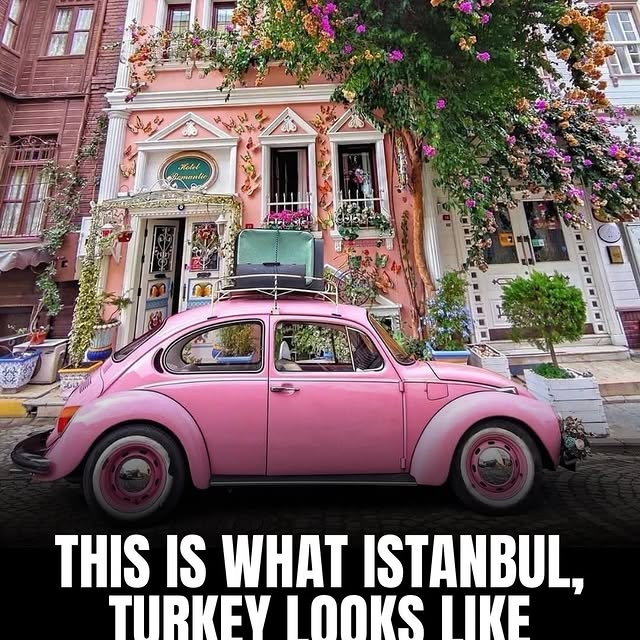  .......rfervor   'recent posts' 