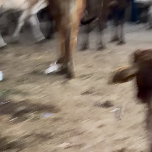  .....memes   'recent posts' 