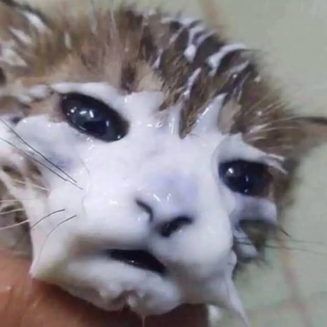  .....attos   'recent posts' 