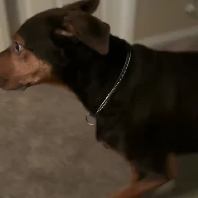  ....ofk9   'recent posts' 