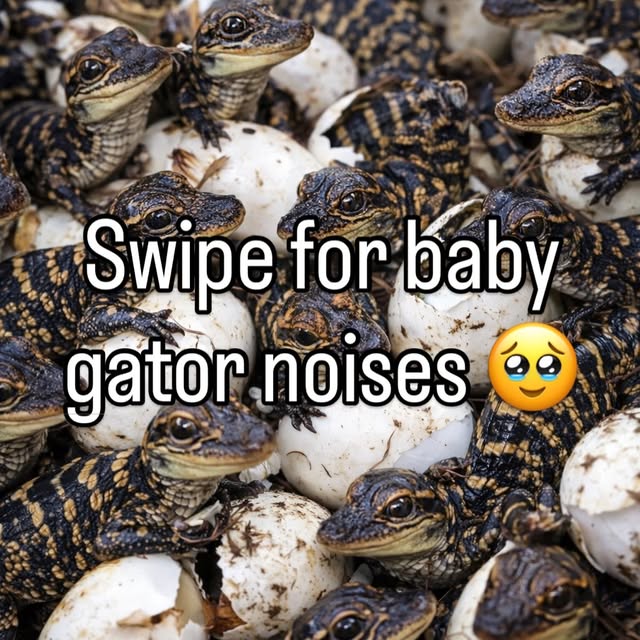  .....lorida   'recent posts' 