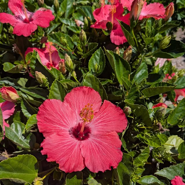  ....y002   'recent posts' 