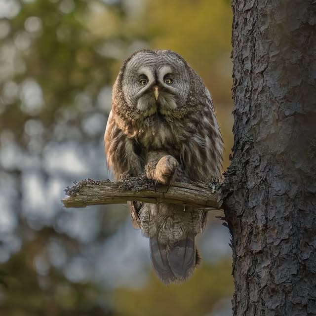  ........vacations   'recent posts' 