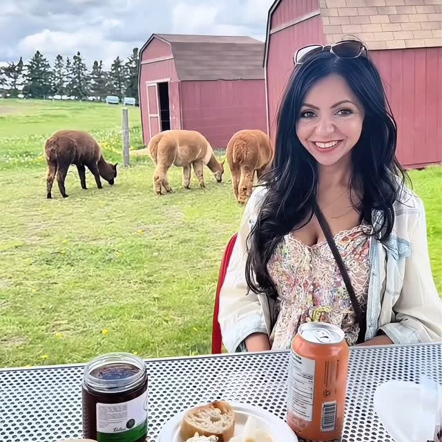  .........wanderland   'recent posts' 