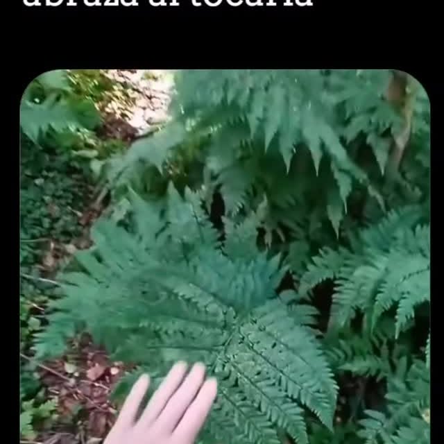  .......dadesdl   'recent posts' 