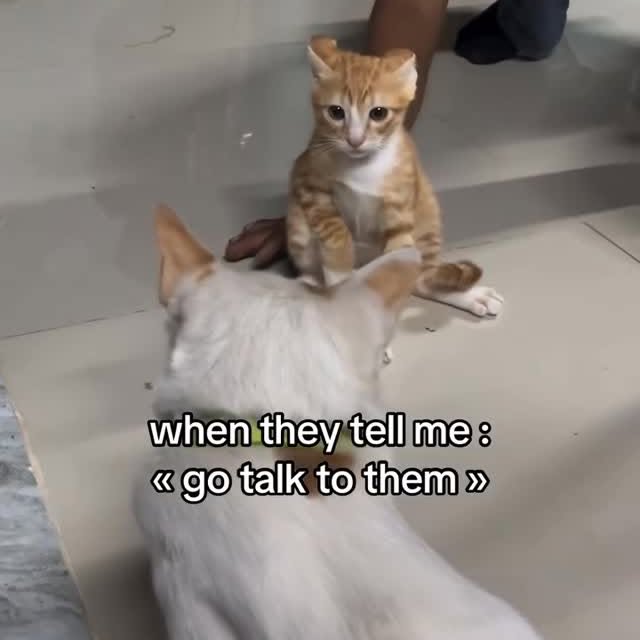  .....attos   'recent posts' 