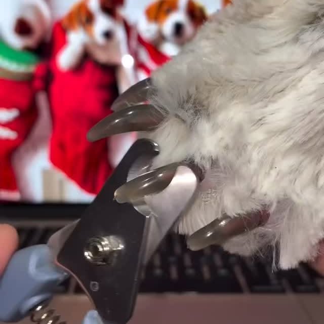  .......ehacks1   'recent posts' 