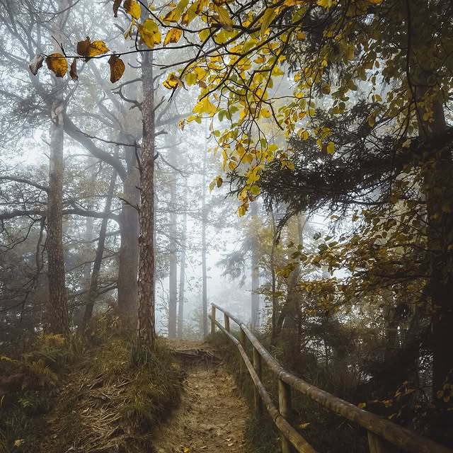  .......ul_lives   'recent posts' 