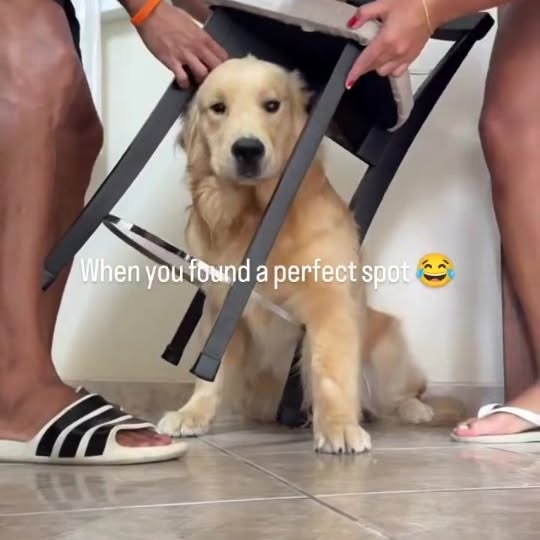  ......psworld   'recent posts' 