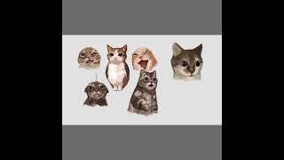  ...3c12  'recent videos' 