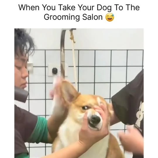  .....ibess   'recent posts' 