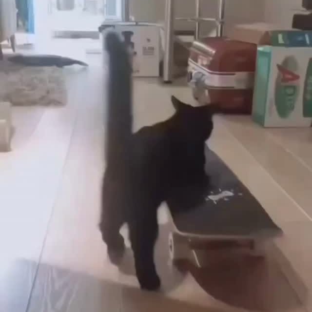  .......ats_club   'recent posts' 