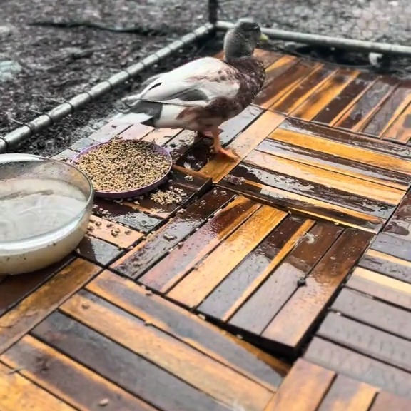  ........ckstatue   'recent posts' 