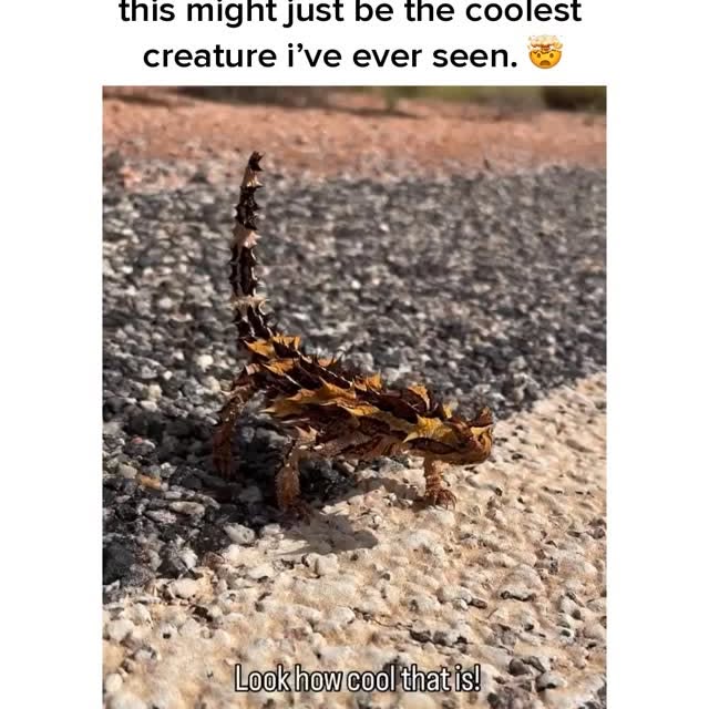  ..obe   'recent posts' 