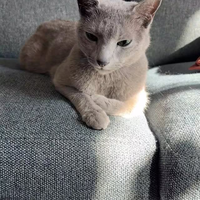  ......n_boris   'recent posts' 