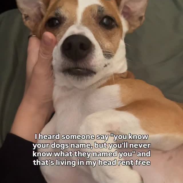  ..ps   'recent posts' 