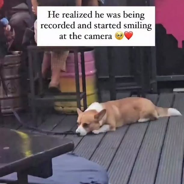  .......ereality   'recent posts' 