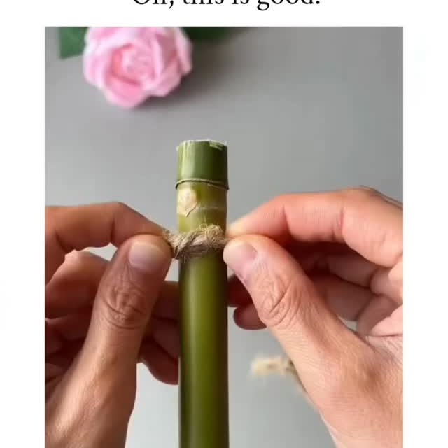  ..spd   'recent posts' 