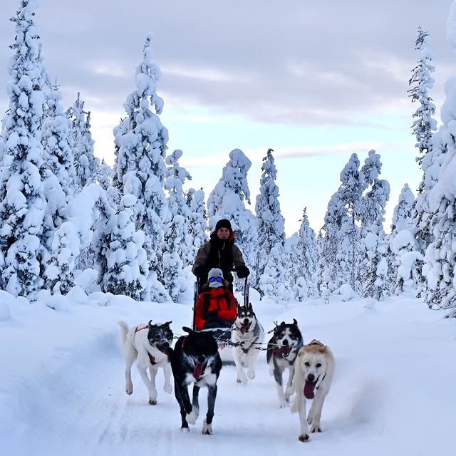  ........reisen   'recent posts' 