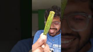  ........m Munches  'recent videos' 