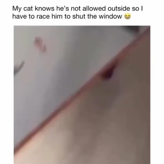  ..spd   'recent posts' 